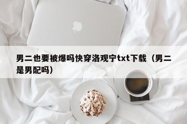 男二也要被爆吗快穿洛观宁txt下载(男二是男配吗)
