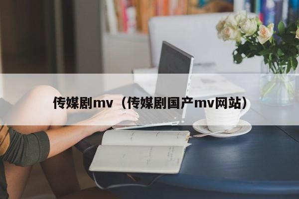 传媒剧mv(传媒剧国产mv网站)